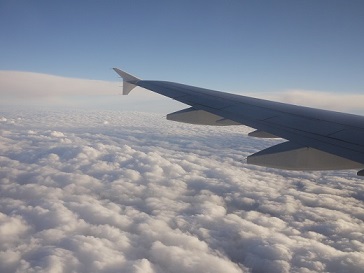 d0153627_111382.jpg