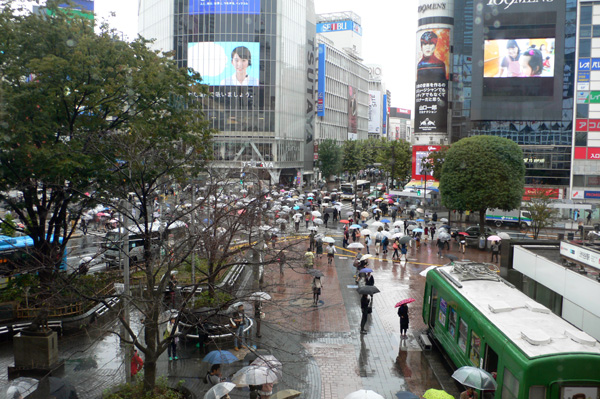 a0046429_21485069.jpg