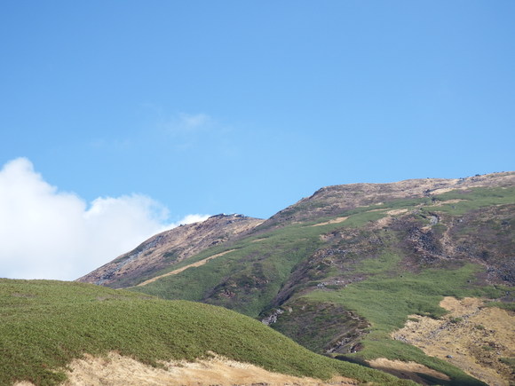 f0118332_23263368.jpg