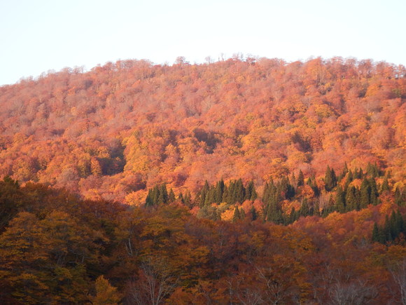 f0118332_23445284.jpg