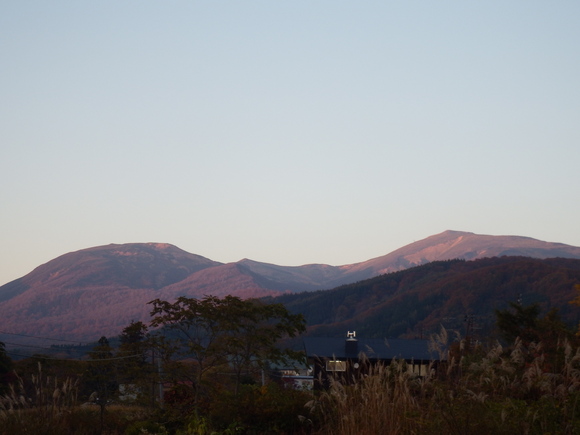 f0118332_23452529.jpg