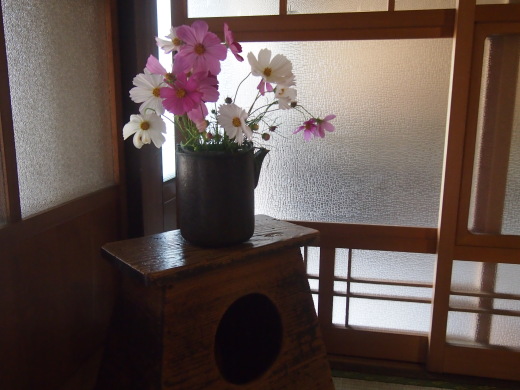 a0280635_07383191.jpg