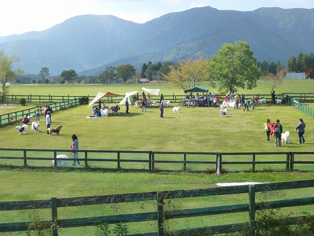 e0196135_22104523.jpg