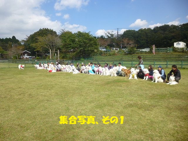 e0196135_22111549.jpg