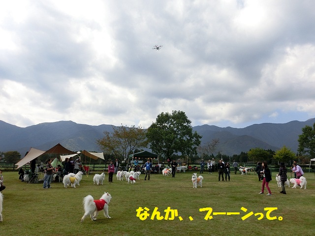 e0196135_2211774.jpg