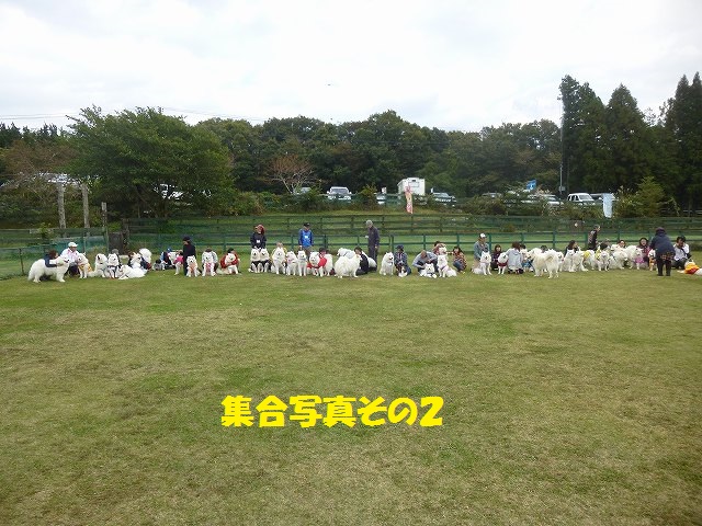e0196135_22121755.jpg