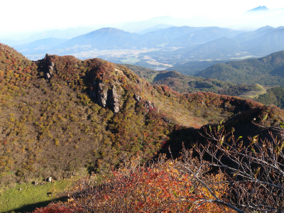 e0272335_4433643.jpg