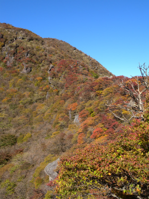 e0272335_5104495.jpg