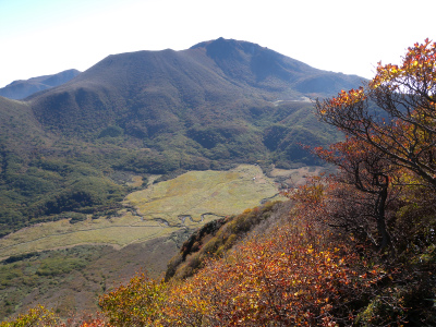 e0272335_5193446.jpg
