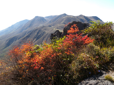 e0272335_539551.jpg