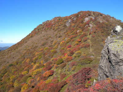 e0272335_544865.jpg
