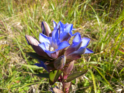 e0272335_5544550.jpg