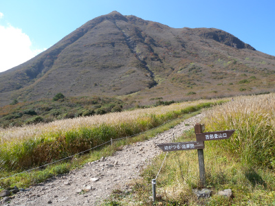 e0272335_5551835.jpg