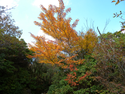 e0272335_556951.jpg