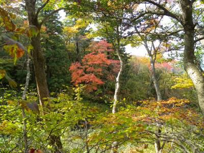 e0272335_5582660.jpg
