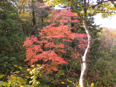 e0272335_558412.jpg