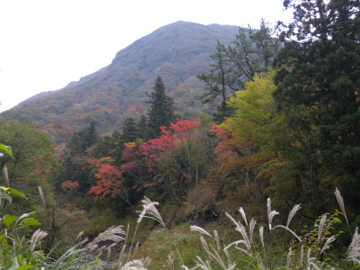 e0272335_5592466.jpg