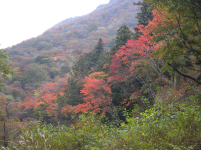 e0272335_5593875.jpg