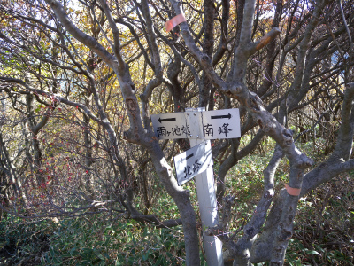 e0272335_56227.jpg