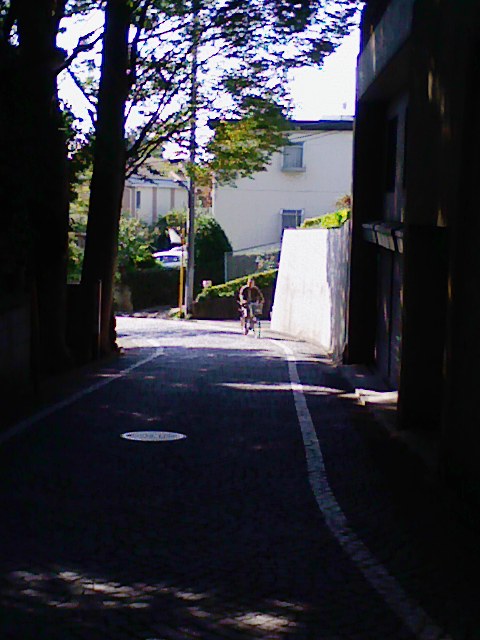 b0031140_2033350.jpg