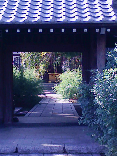 b0031140_2035102.jpg
