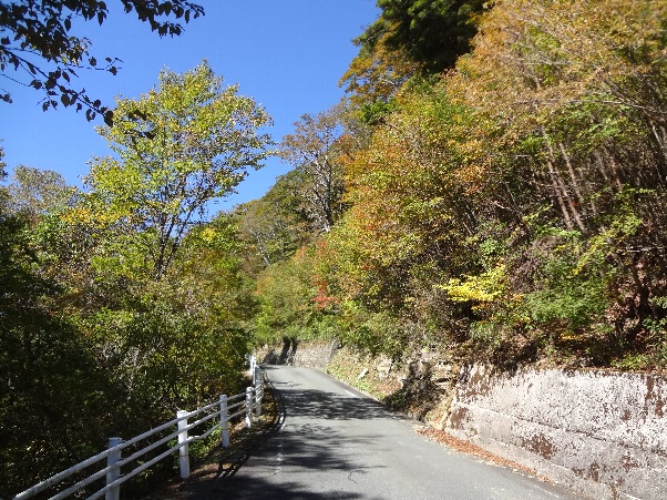 b0149340_2292321.jpg