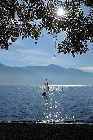 f0094843_16305421.jpg