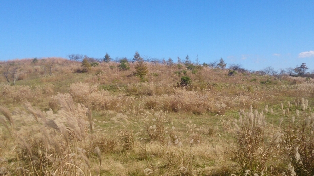 a0163444_2173273.jpg