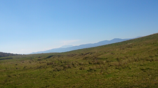a0163444_2175793.jpg