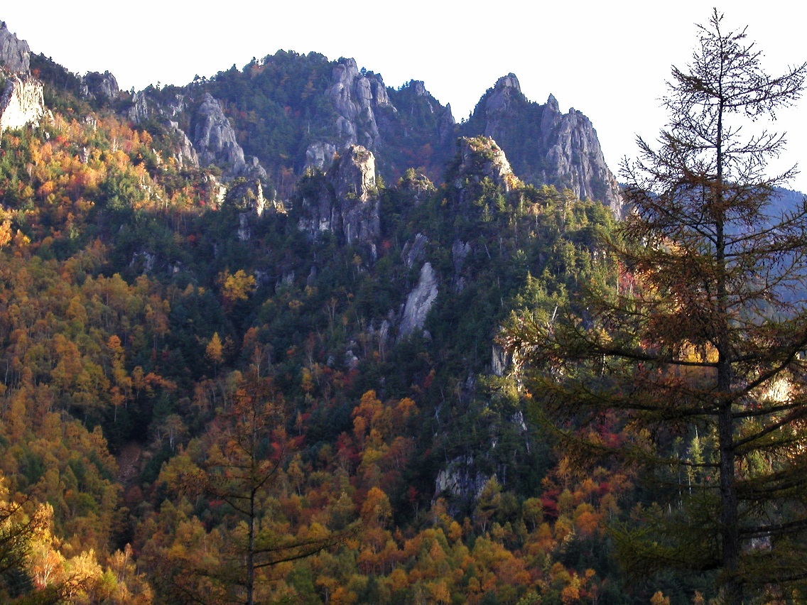 a0286351_2058080.jpg
