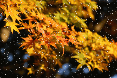 b0133752_123303.gif