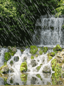b0133752_23172230.gif