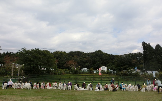 a0166954_0362040.jpg