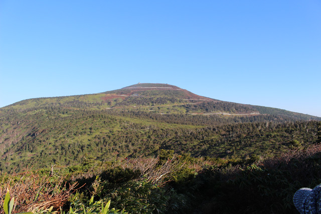 c0116856_6112018.jpg