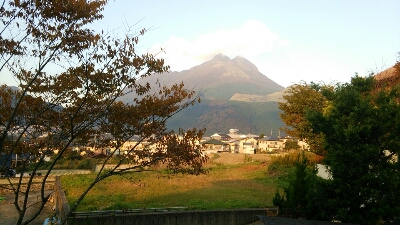f0063356_8174575.jpg