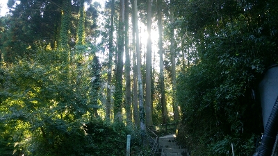 f0063356_83146.jpg