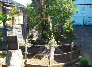a0057057_195378.png