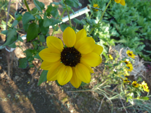 e0278968_22540411.jpg