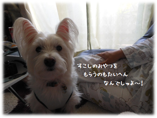 b0242873_09352336.png