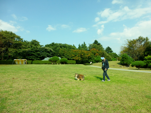 a0157174_19345072.png