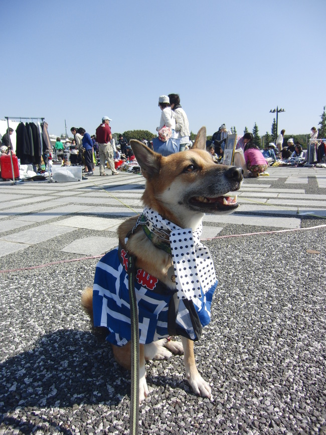 b0246876_2246137.jpg