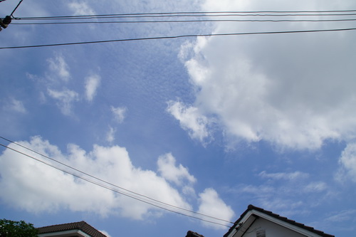 a0002177_13565446.jpg