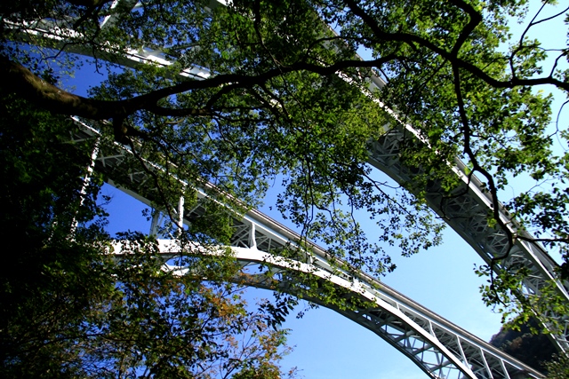 d0126577_2291771.jpg