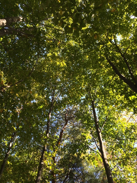 c0283778_17304751.jpg