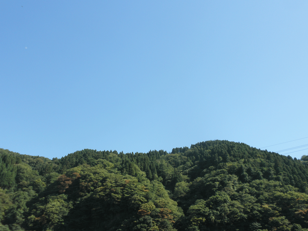 b0098881_2161034.gif