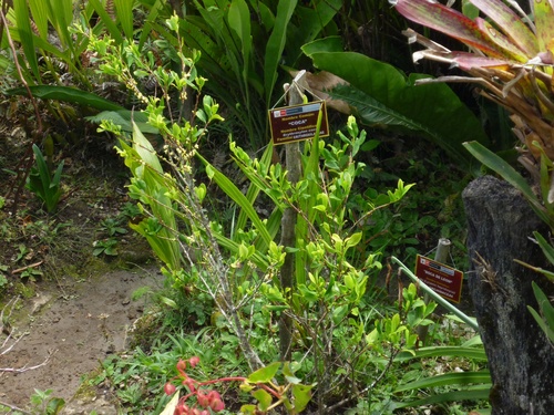 c0123890_204079.jpg