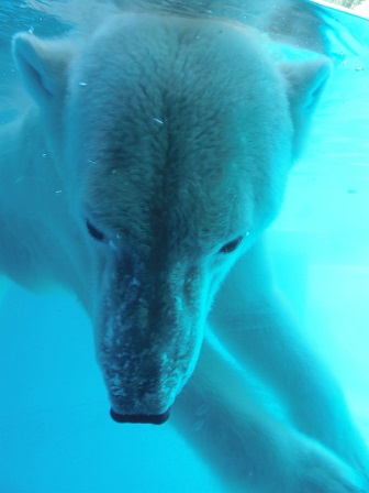 f0297893_1731197.jpg