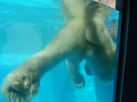 f0297893_1754080.jpg