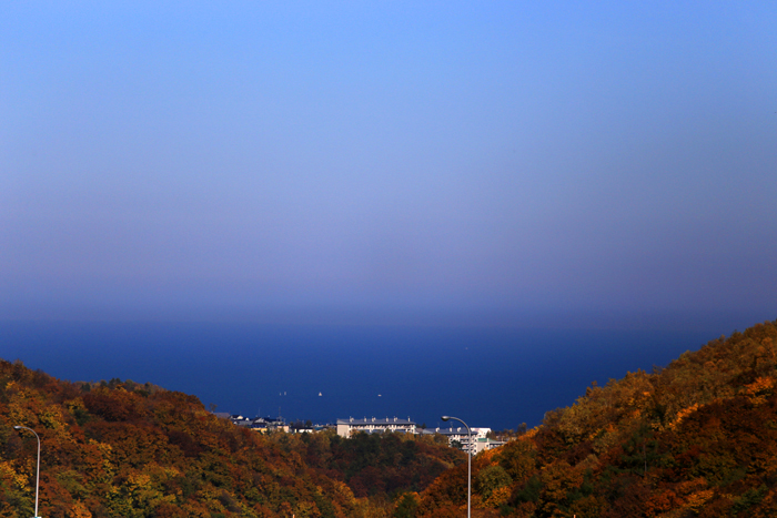 f0001895_14214470.jpg