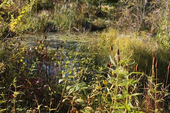 e0209997_22595480.jpg